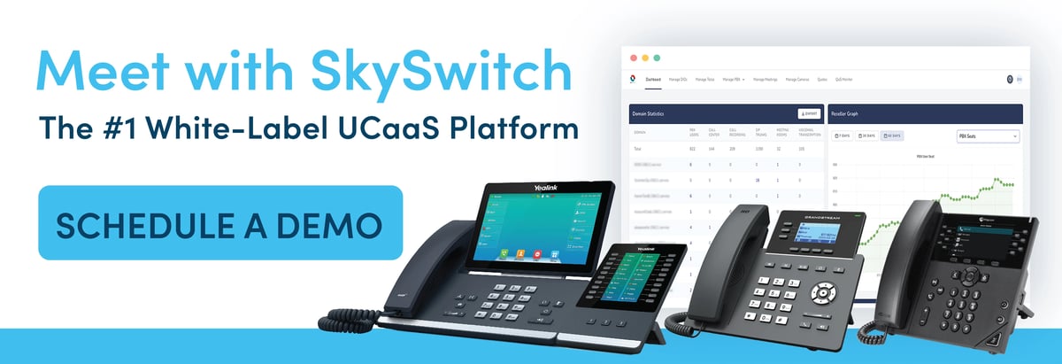 SkySwitch Email (1)